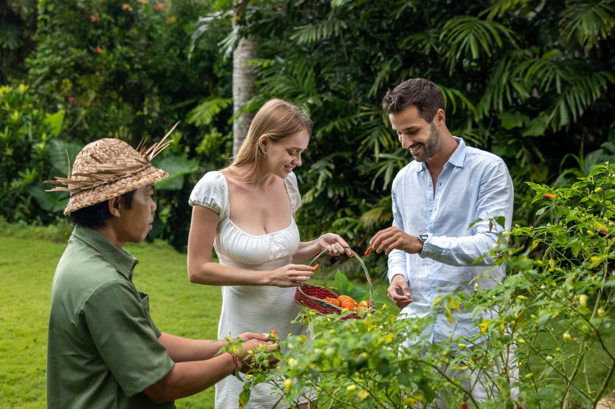 The Mesare Eco Resort Batumadeg Dış mekan fotoğraf